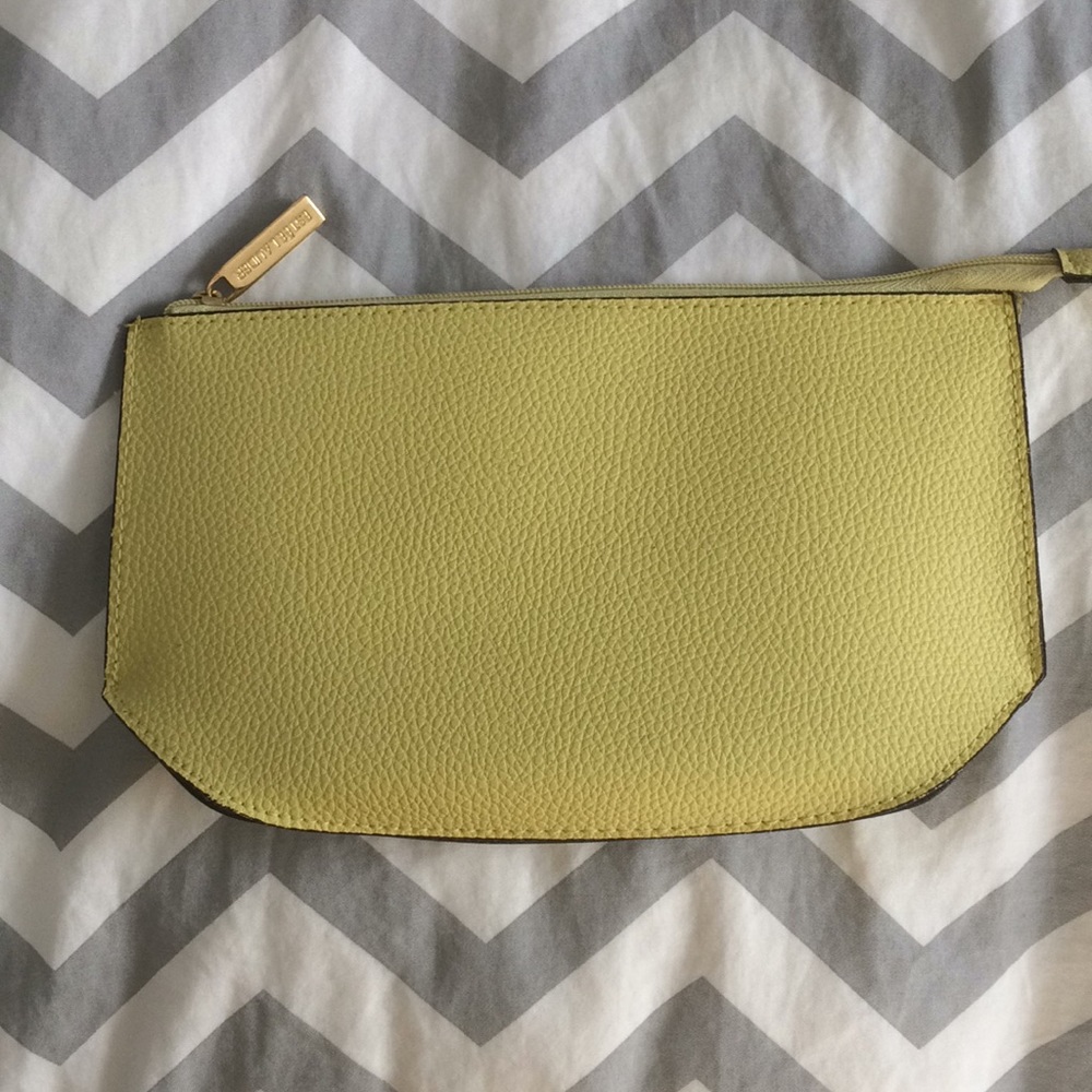 Estee Lauder purse/make up bag